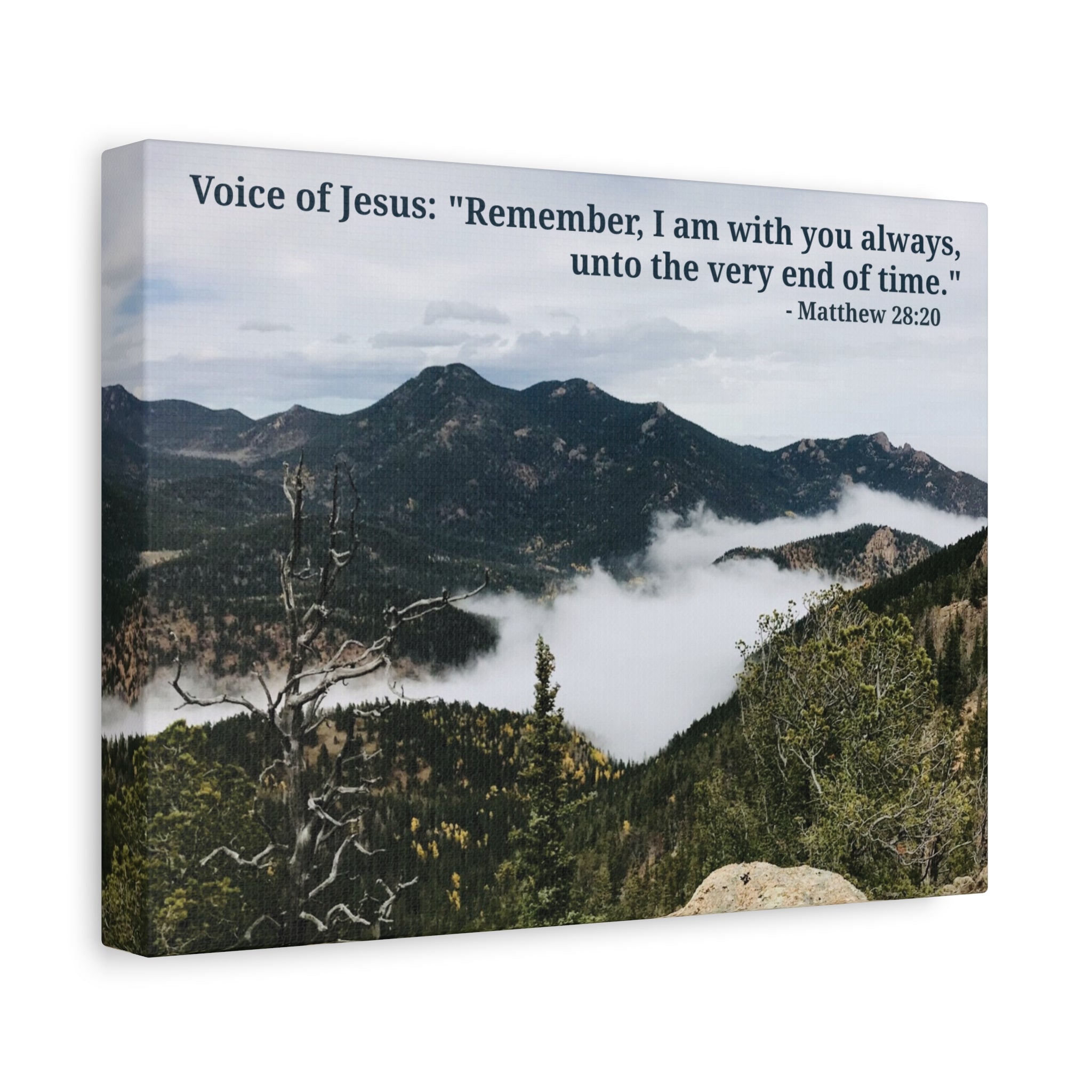 Matthew 28:20 - Framed Canvas Wall Art